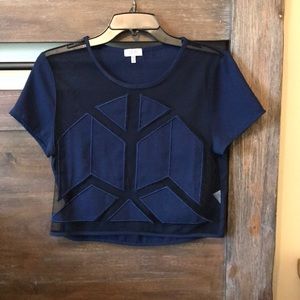 Geographic see through crop top